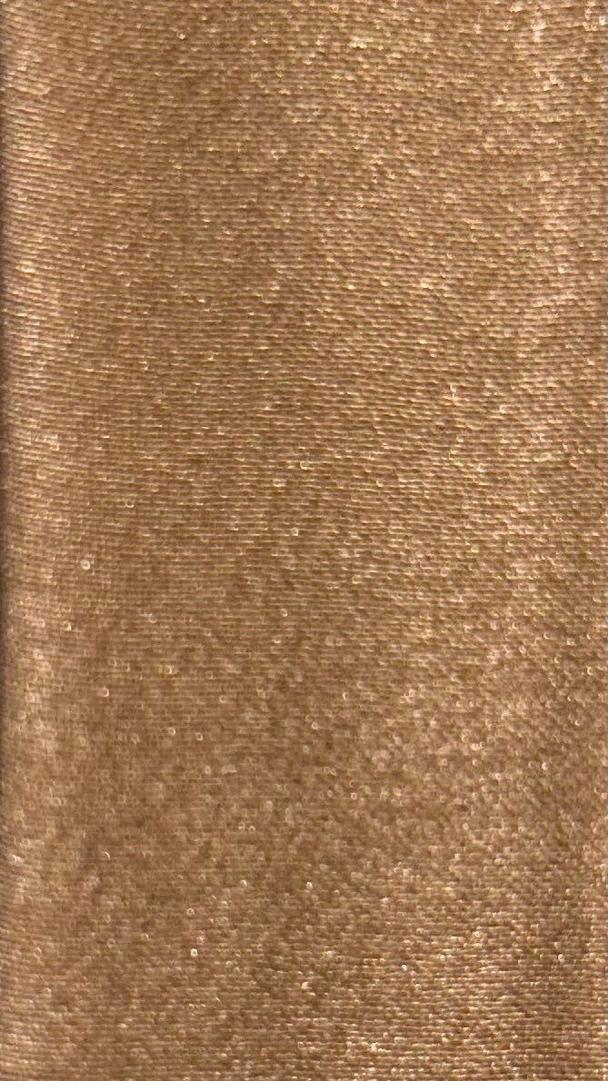 SHE'S SOLID (GOLDEN CHAMPAGNE)